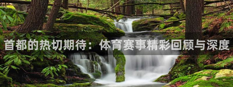 nba直播吧在线直播：首都的热切期待：体育赛事精彩回顾与深度