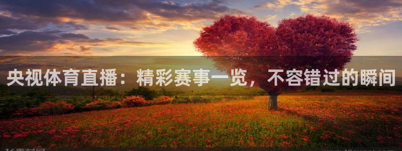 nba直播吧小九直播：央视体育直播：精彩赛事一览，不容错过的瞬间