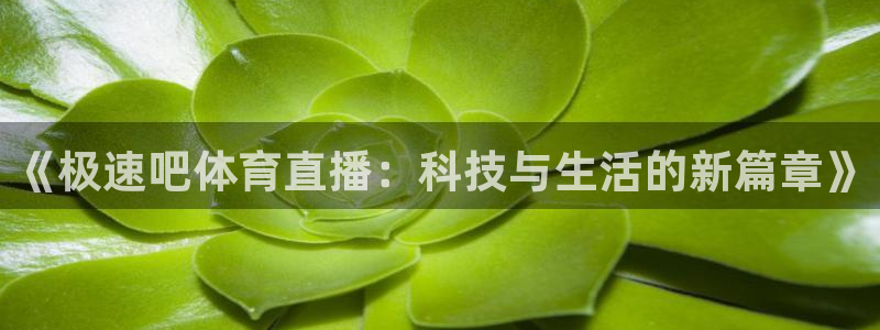 直播吧nba在线观看：《极速吧体育直播：科技与生活的新篇章》