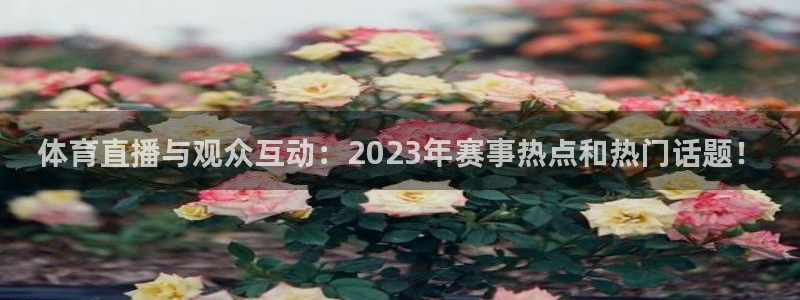 0.8直播吧nba：体育直播与观众互动：2023年赛事热点和热门话题！